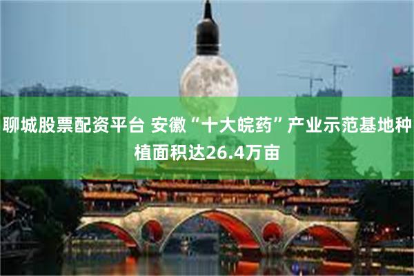 聊城股票配资平台 安徽“十大皖药”产业示范基地种植面积达26.4万亩