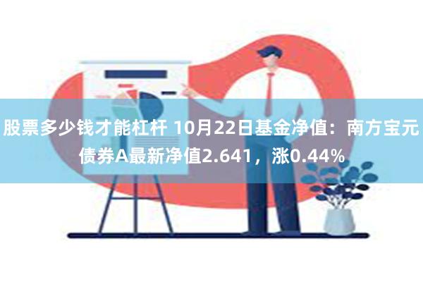 股票多少钱才能杠杆 10月22日基金净值：南方宝元债券A最新净值2.641，涨0.44%