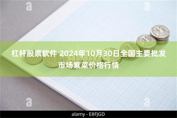 杠杆股票软件 2024年10月30日全国主要批发市场紫菜价格行情