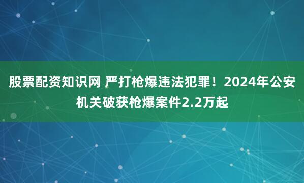 股票配资知识网 严打枪爆违法犯罪！2024年公安机关破获枪爆案件2.2万起