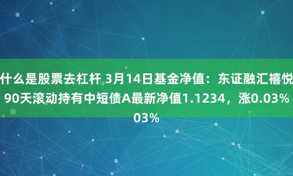 什么是股票去杠杆 3月14日基金净值：东证融汇禧悦90天滚动持有中短债A最新净值1.1234，涨0.03%